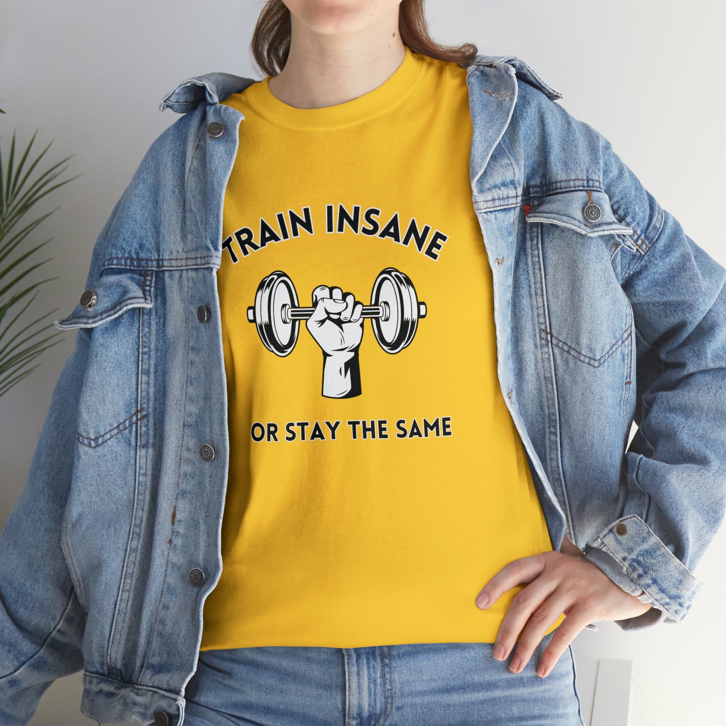 Train Insane or Stay The Same, Unisex Heavy Cotton Tee