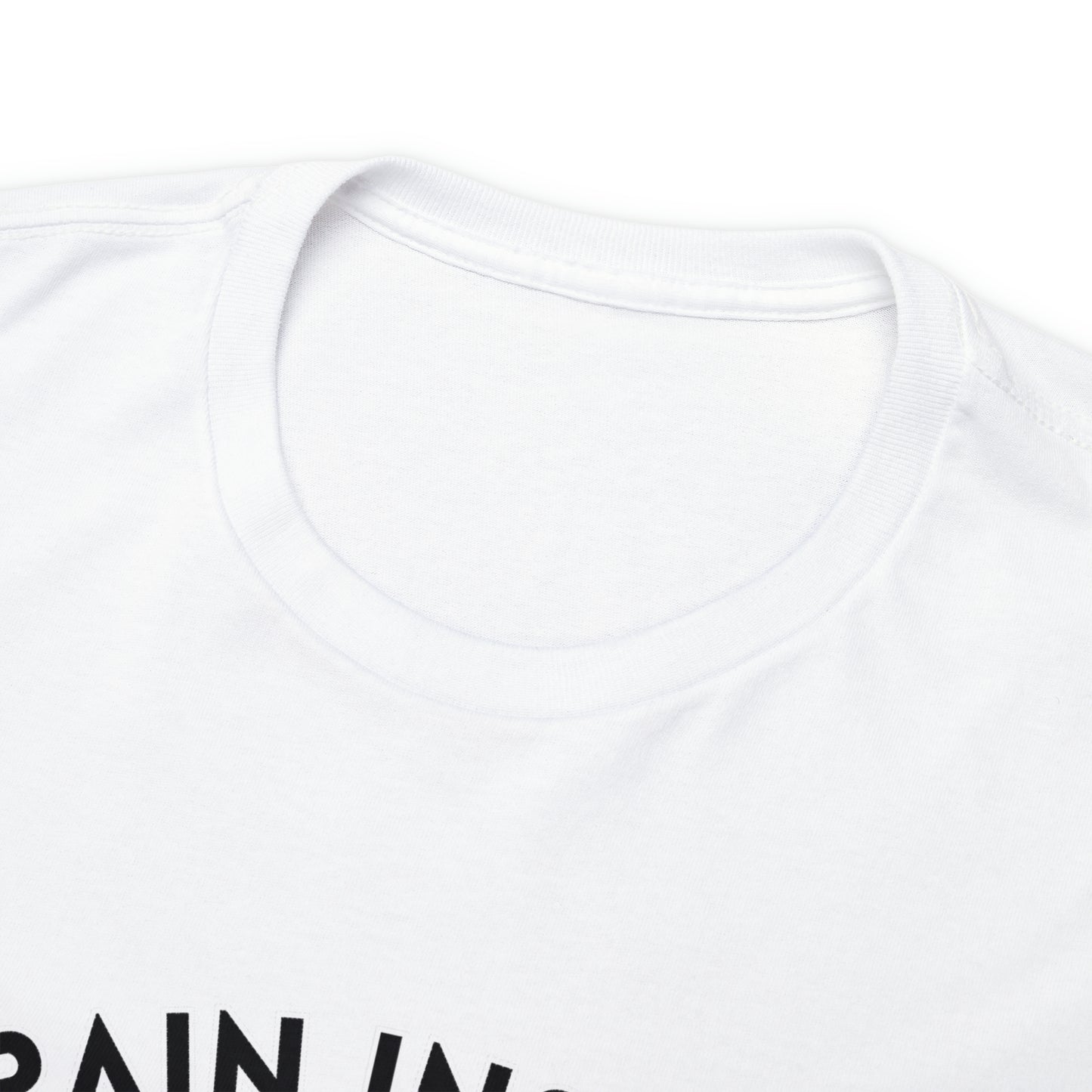 Train Insane or Stay The Same, Unisex Heavy Cotton Tee