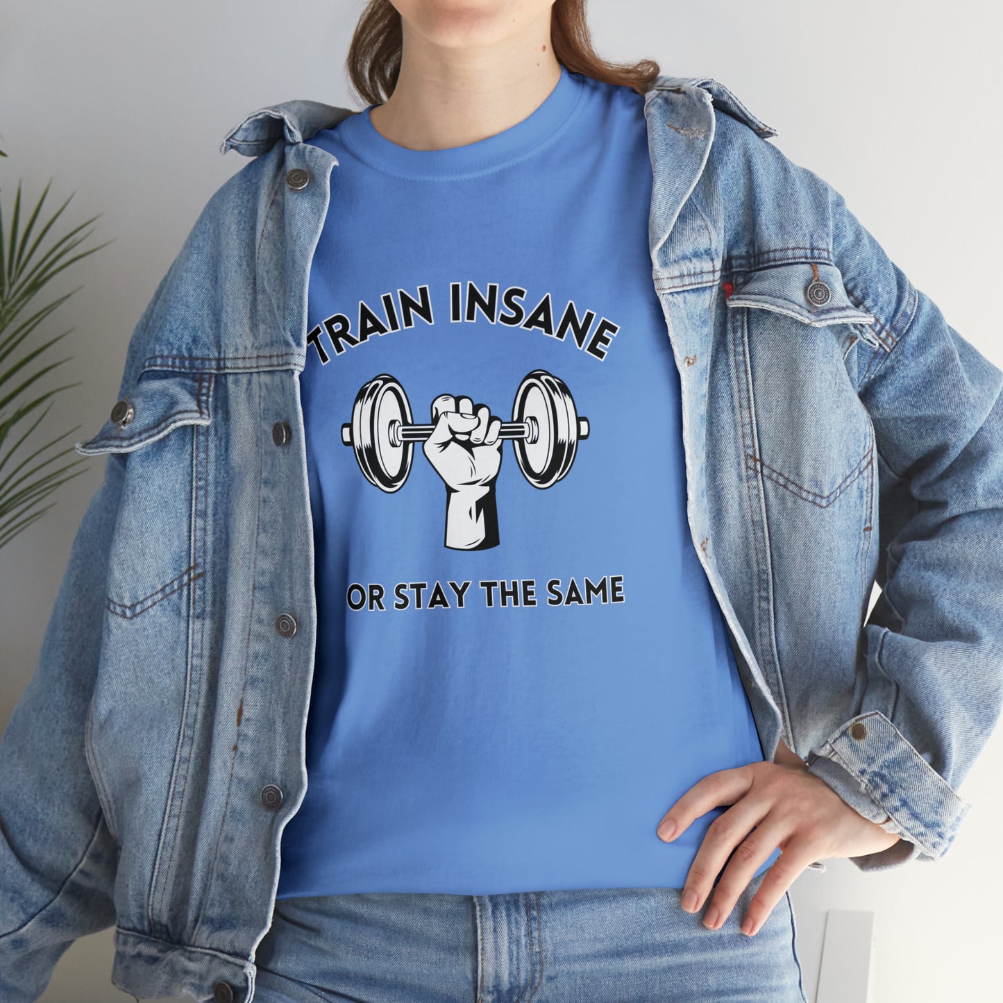 Train Insane or Stay The Same, Unisex Heavy Cotton Tee