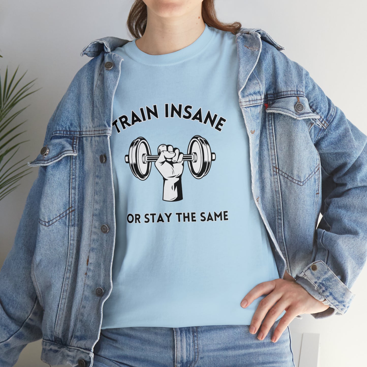 Train Insane or Stay The Same, Unisex Heavy Cotton Tee