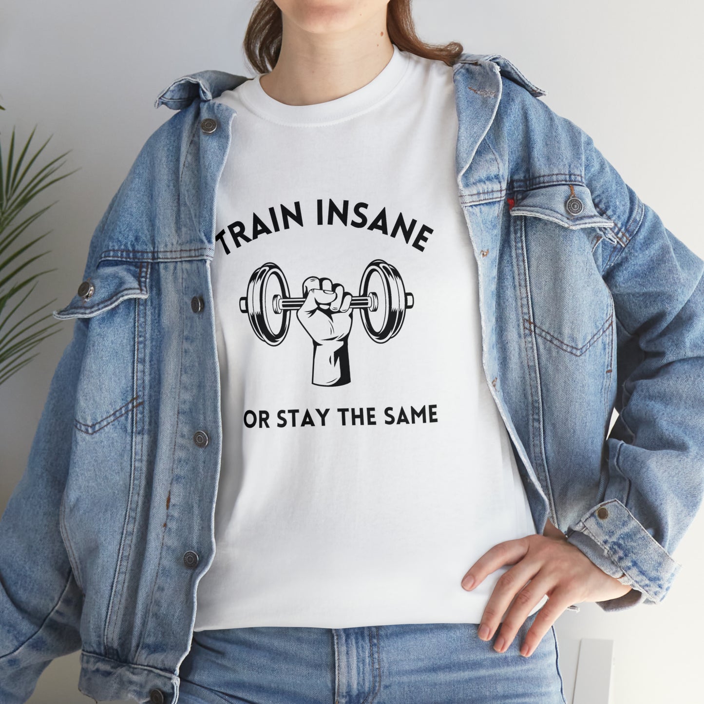 Train Insane or Stay The Same, Unisex Heavy Cotton Tee